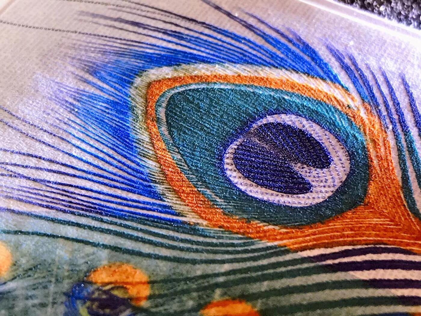 2026第2场（总第229期）：精品测试钞、连体钞综合场