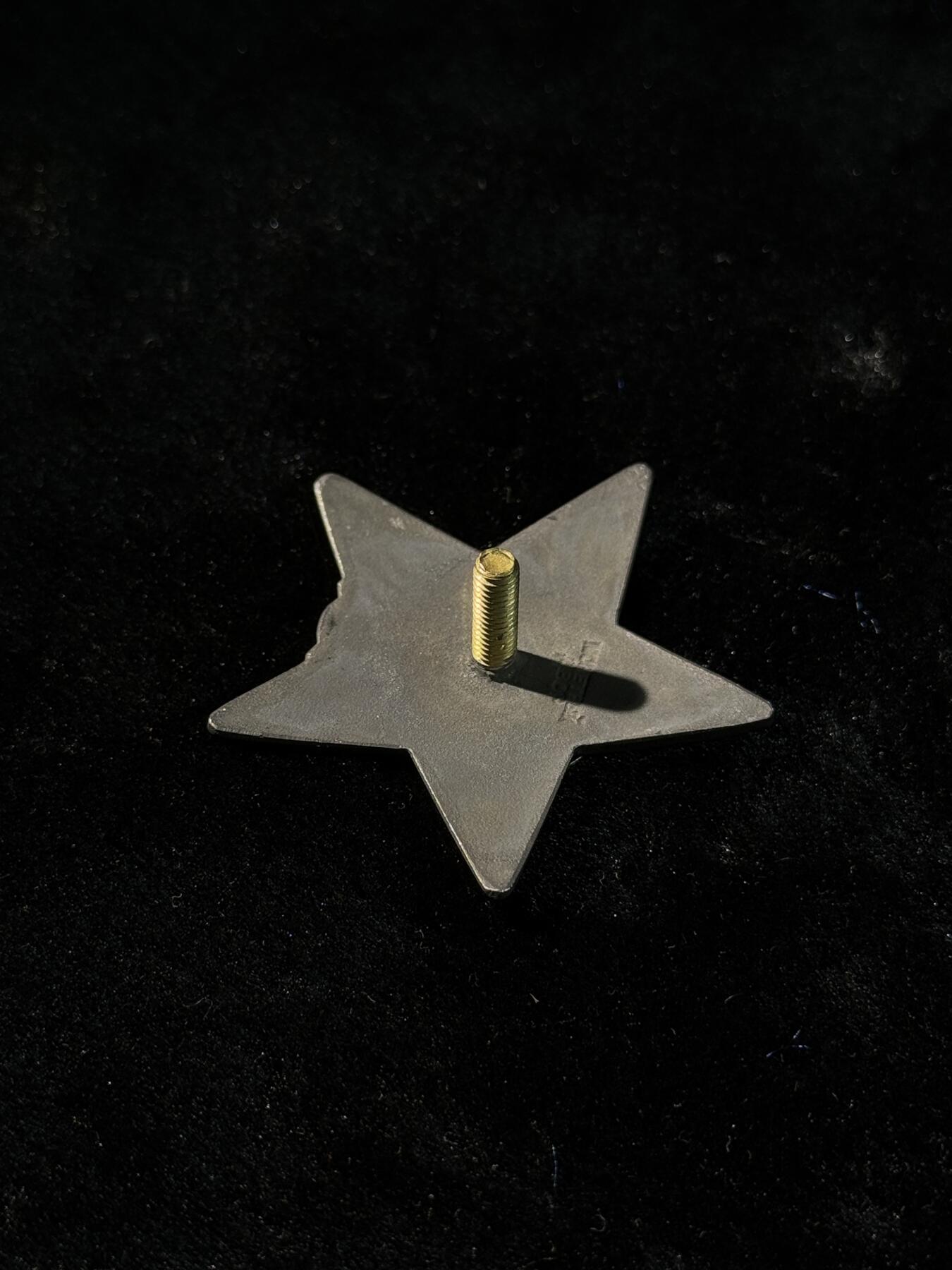 戎马世界章牌大赏第110期 复刻红星勋章