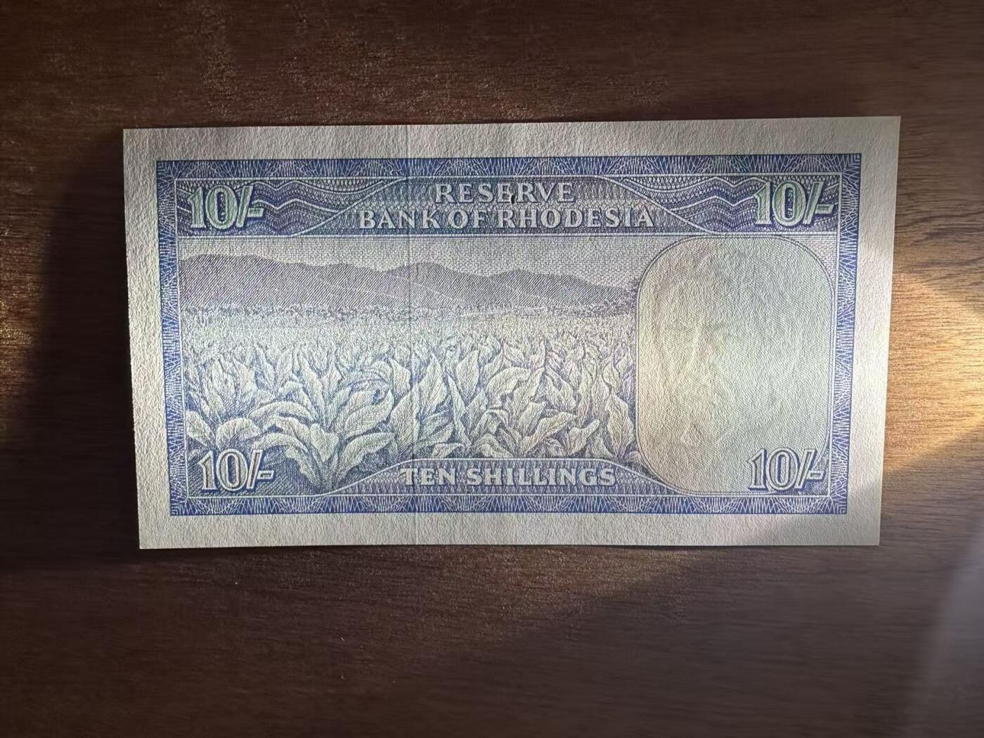 徐霞客拍卖首拍 罗得西亚	P-27b 1968年10先令 L/17 772846	au	纸币中间缺一个小点肉 	罗得西亚镑体系下的最后一批纸币之一，1970年罗得西亚就将货币改为元，因此该版纸币见证了旧殖民货币体系的终结。伊丽莎白二世女王肖像，延续了英属殖民地纸币的传统，同时也是罗得西亚在法律上仍宣称效忠英国王室的象征。
