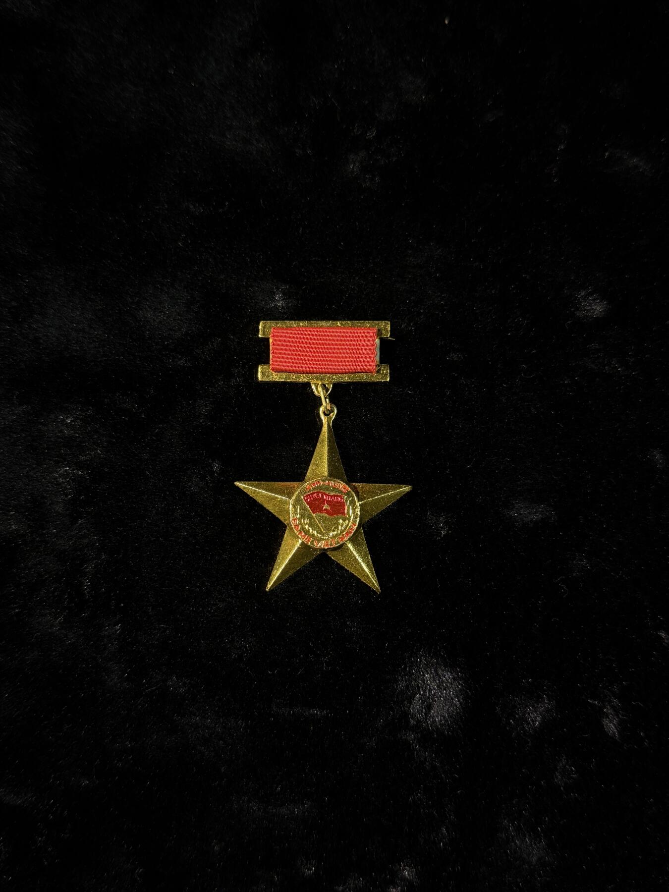 戎马世界章牌大赏第110期 越南英雄母亲奖章，铝制