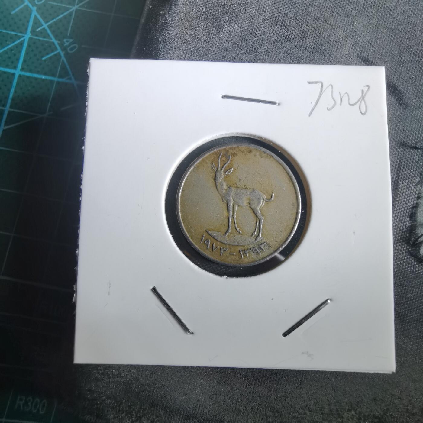 沼泽如烟--第973场 阿联酋