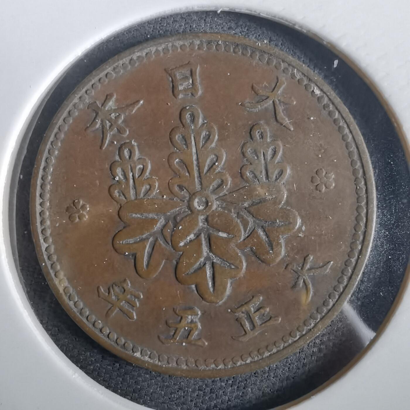 沼泽如烟--第973场