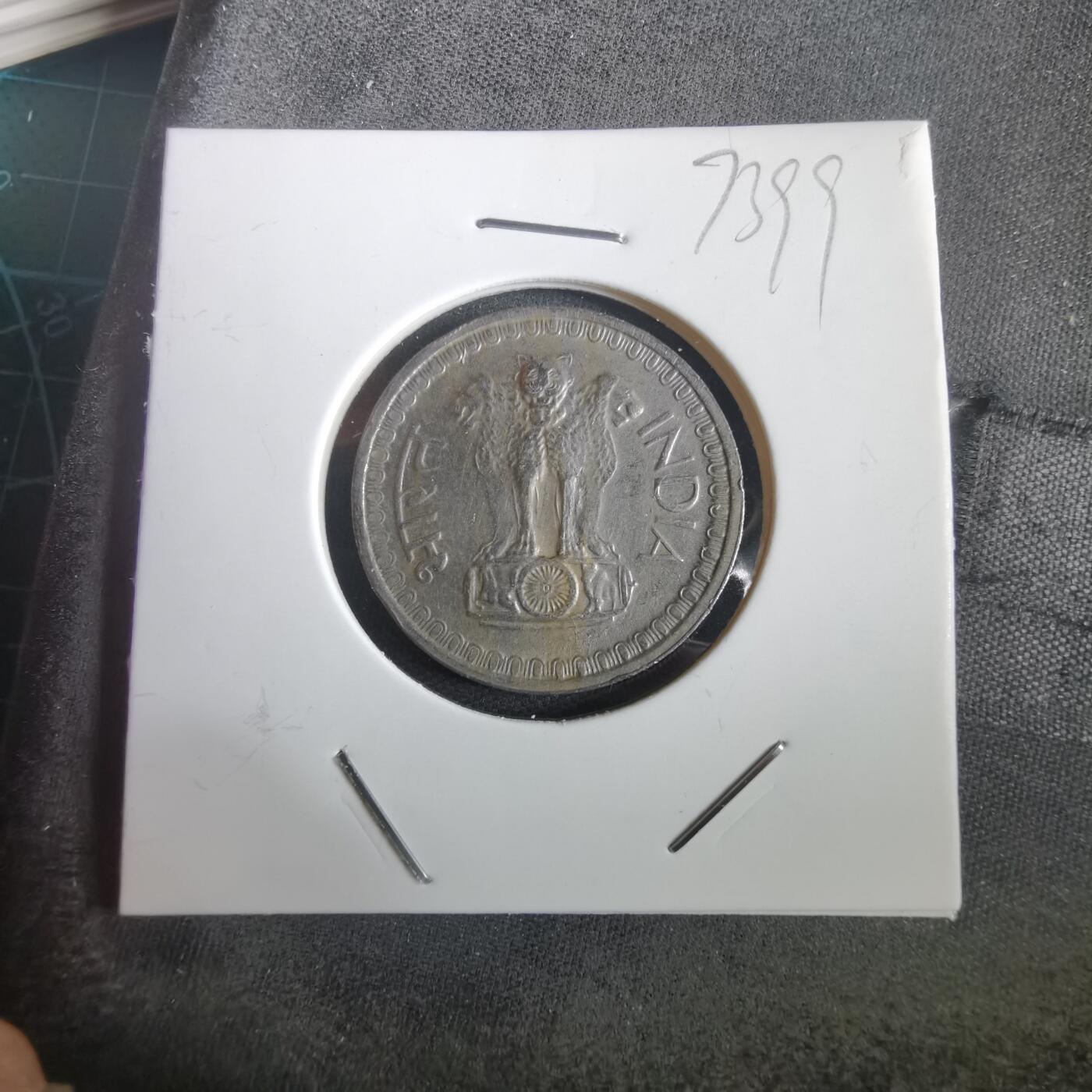 沼泽如烟--第973场