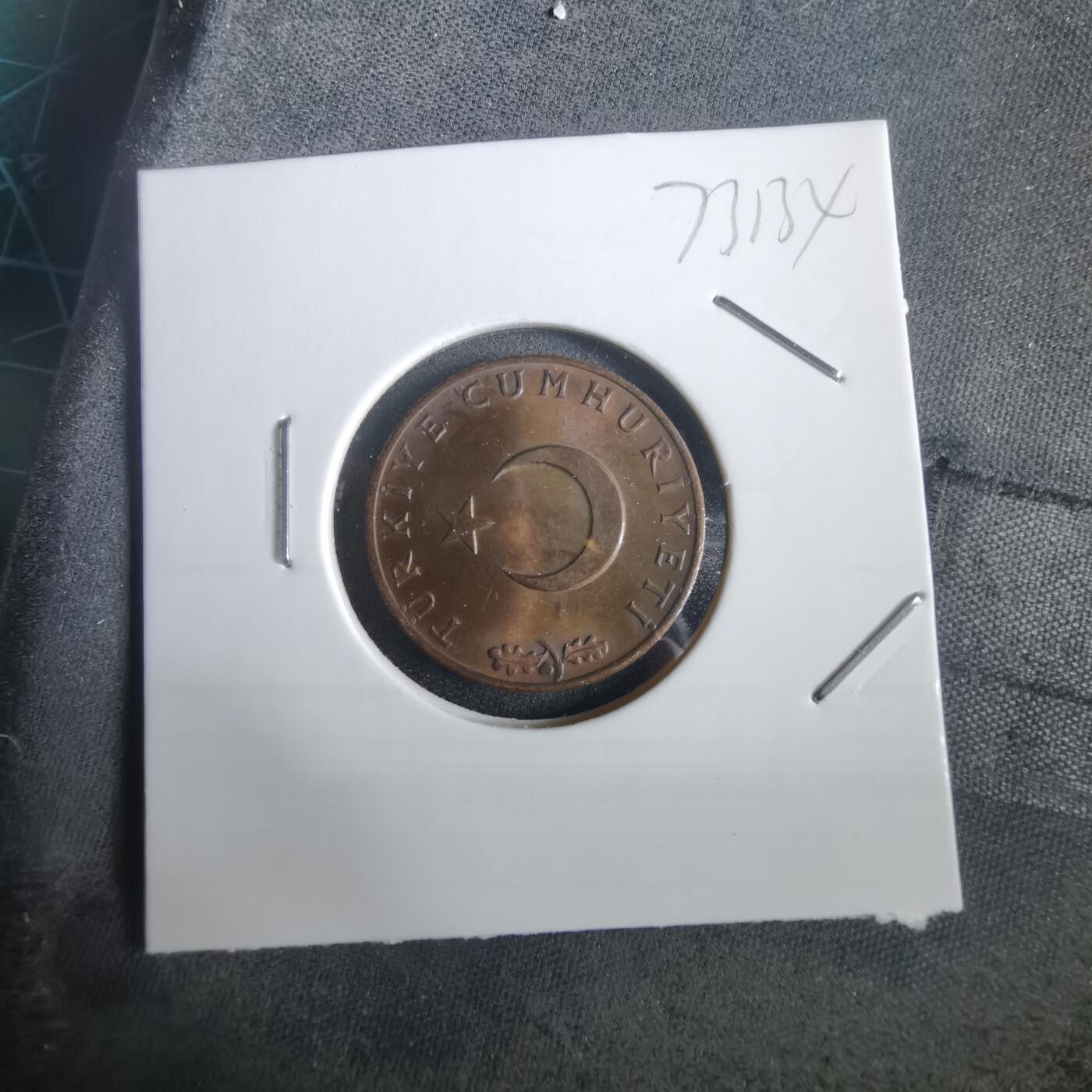 沼泽如烟--第973场