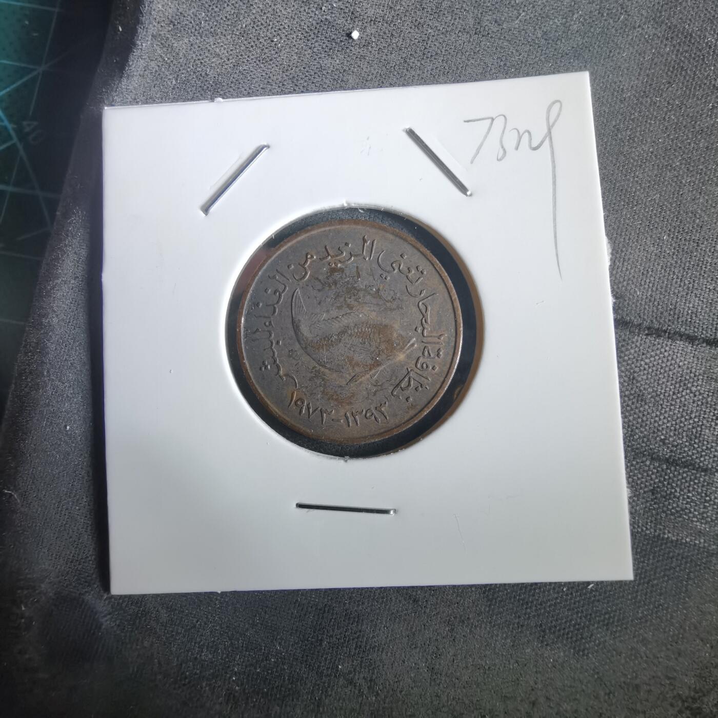 沼泽如烟--第973场