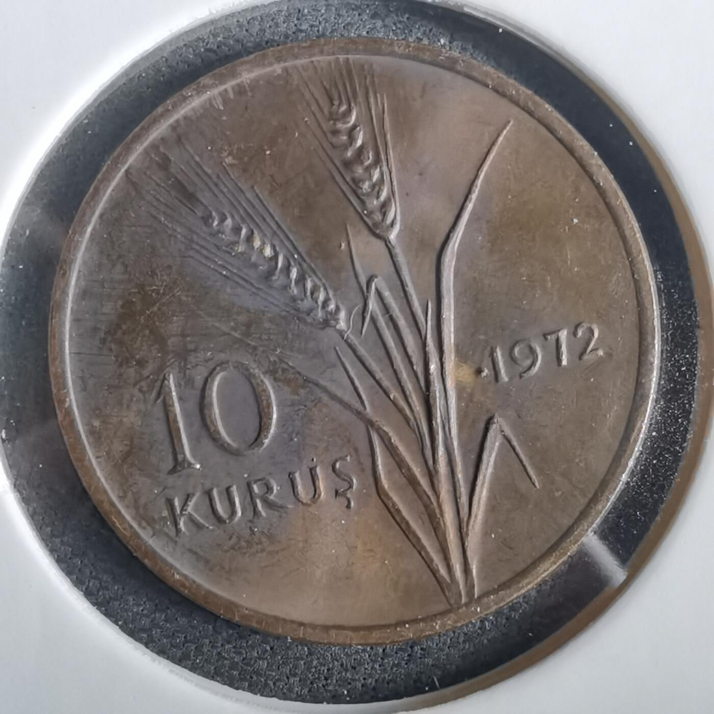 沼泽如烟--第973场