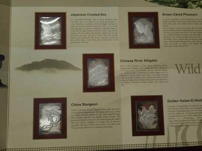 洪涛臻品批发群 精选邮票限时拍卖第1272期  中国珍惜野生动物流通纪念币*银片珍藏册  书籍内包含一套全新的 中国珍惜野生动物纪念币10枚一套（真币），Ag999银制邮票2g/枚，共10枚，共20g纯银制邮票。限量发行1万册，统一售价1200元。具有一定的收藏价值和投资价值，喜欢不要错过，《本拍品包邮发货》