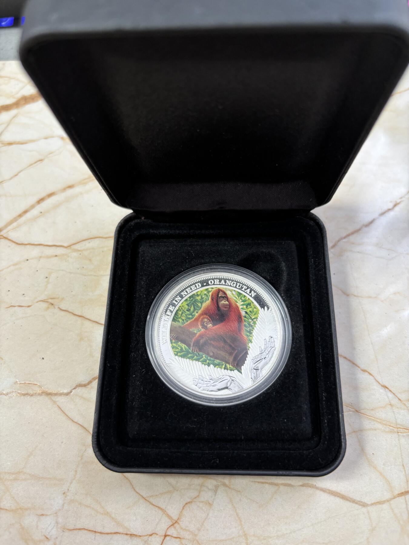 第189期拍卖 图瓦卢2011年野生动物保护2大猩猩1盎司彩色银币，999银，发行5000枚，有白斑