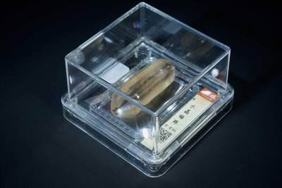 上海都达杂项专场八（全场包邮）   - 水晶桶珠88-20