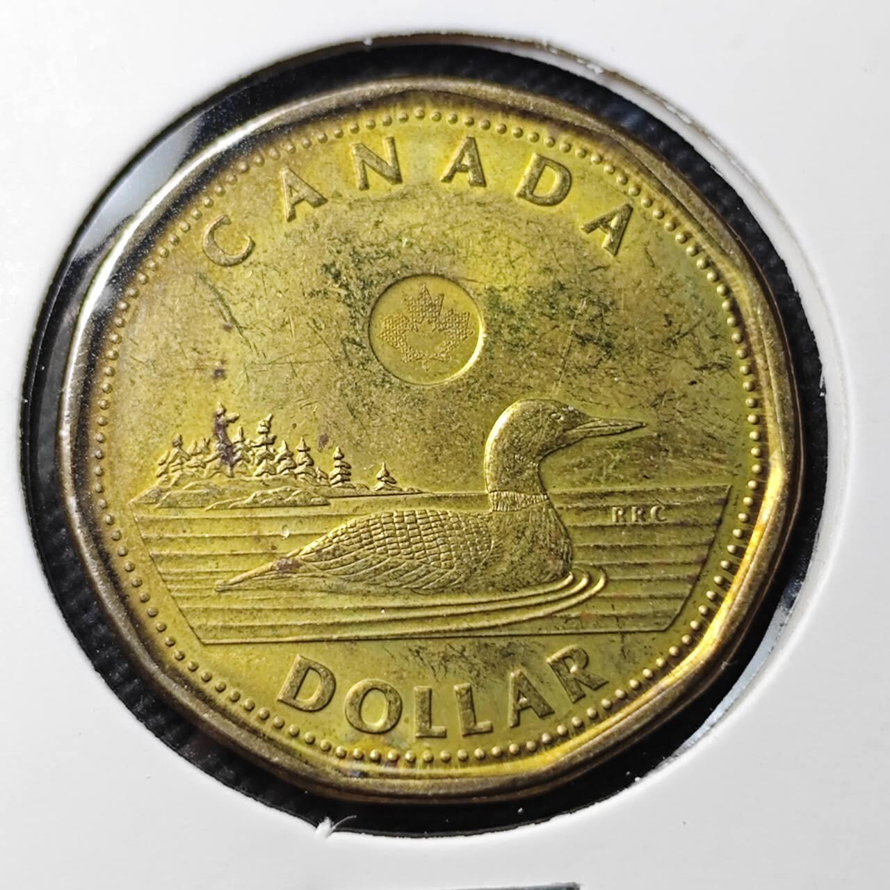 KK钱币收藏小铺  第389期  2月预留时间 周末发货  2013加拿大一元