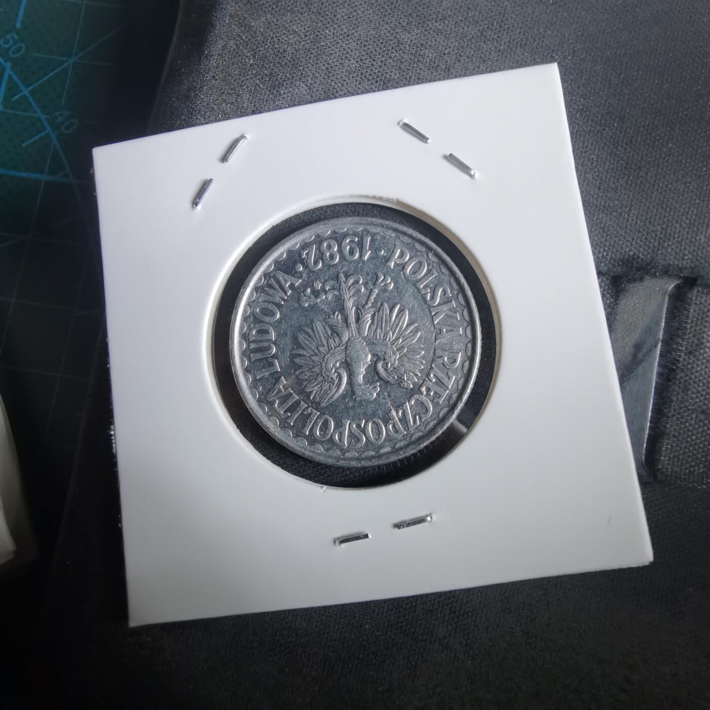 沼泽如烟--第973场