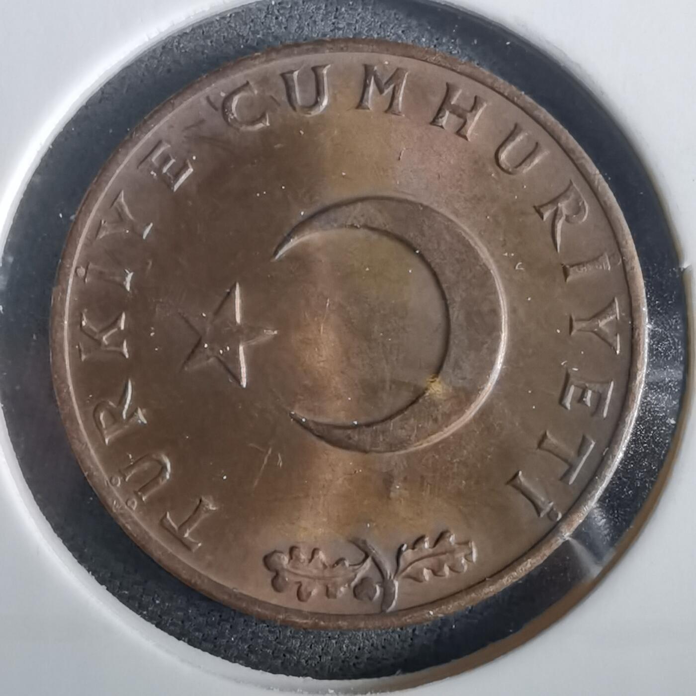 沼泽如烟--第973场