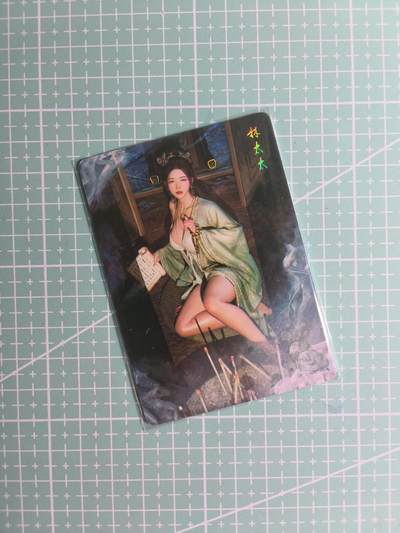 第20期  2026马年祝大家 身体健康 万事如意 (持续收拍品中…) - 【幻彩普卡】燎原文化×刷子《人间传》林太太 双服饰