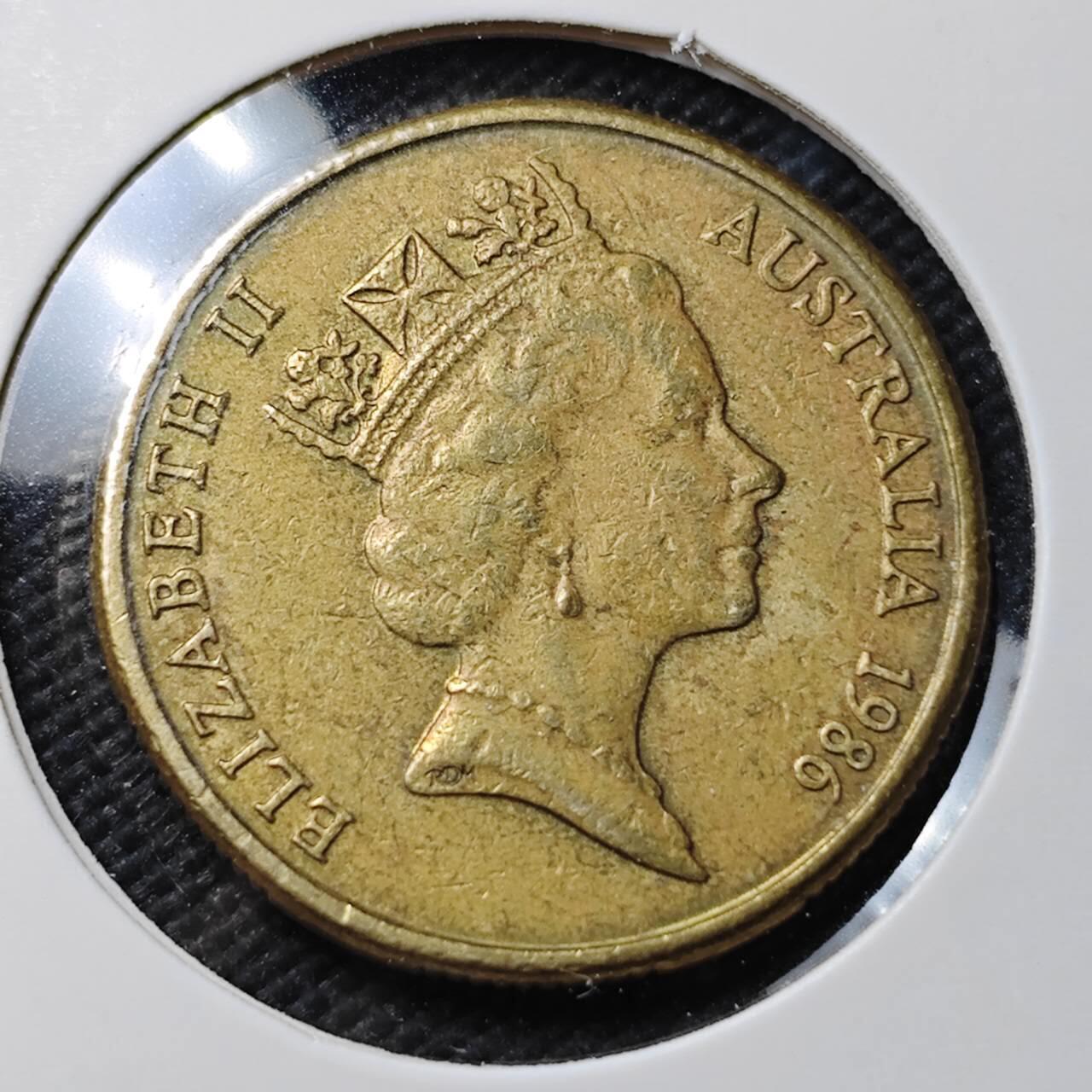 KK钱币收藏小铺  第389期  2月预留时间 周末发货