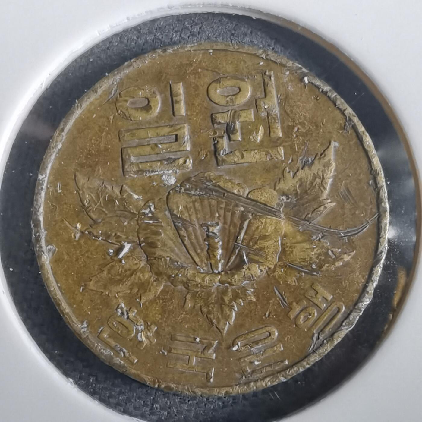 沼泽如烟--第973场