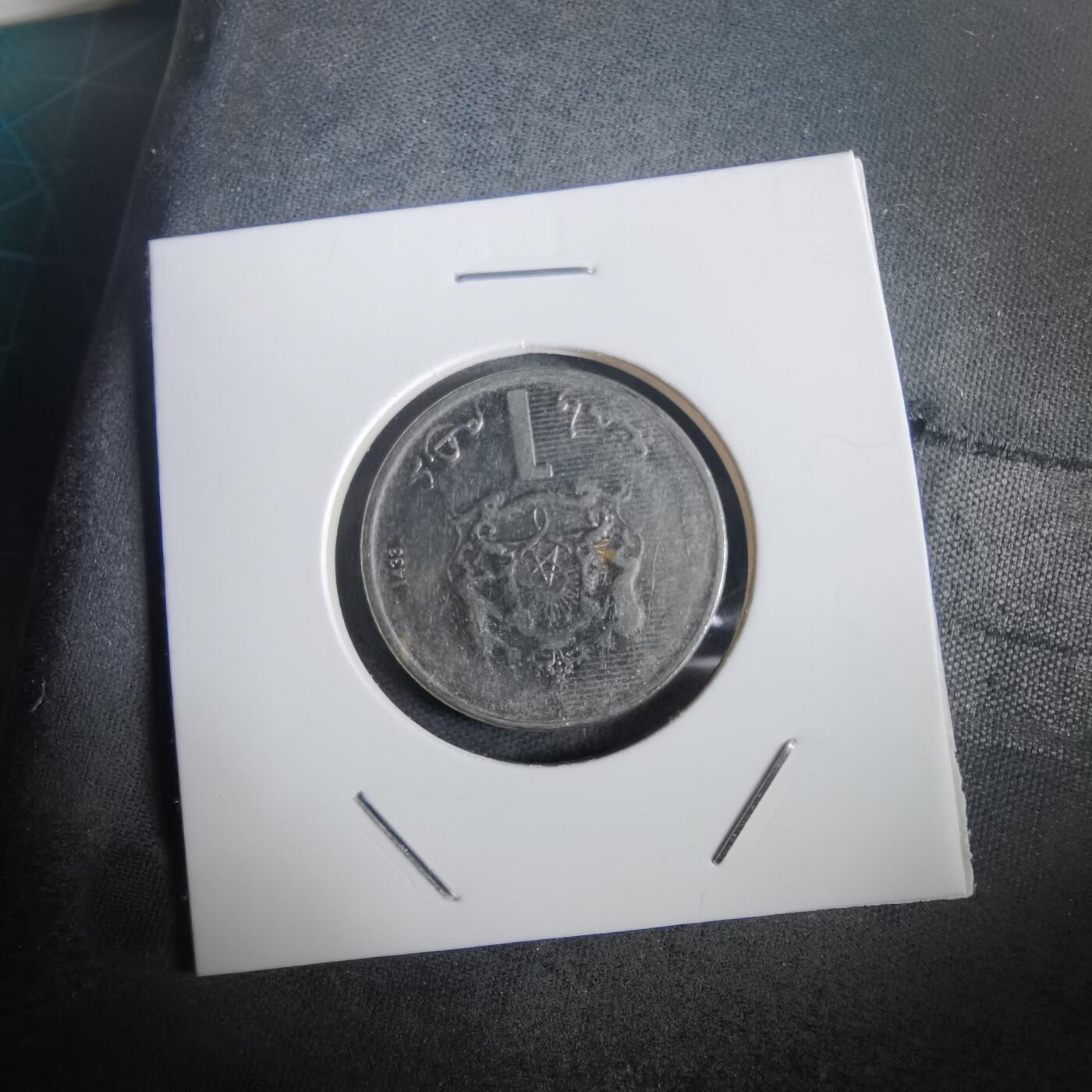 沼泽如烟--第973场