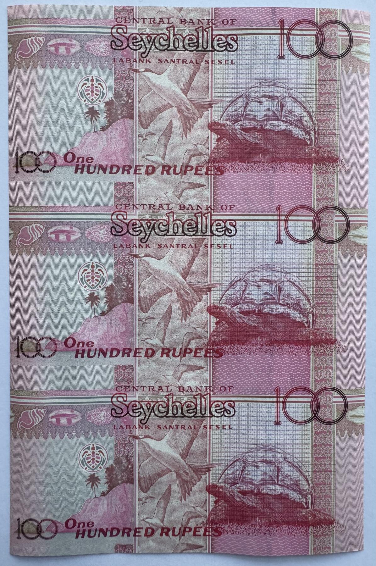 2026第2场（总第229期）：精品测试钞、连体钞综合场