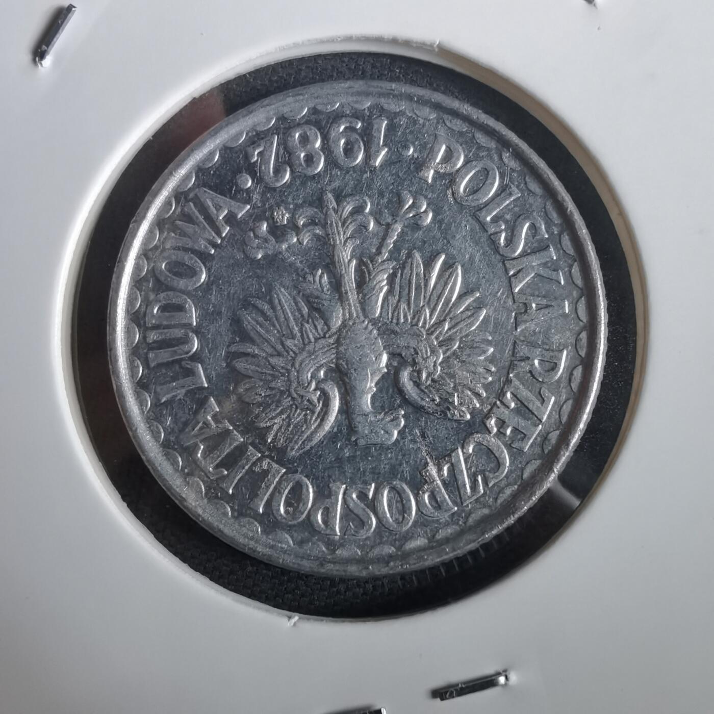 沼泽如烟--第973场