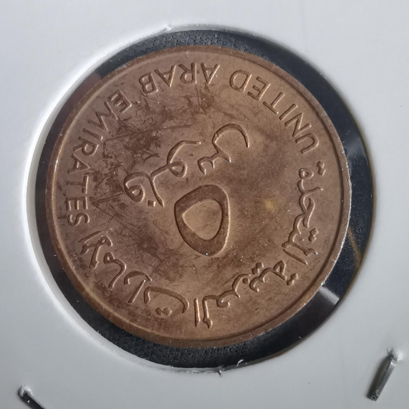 沼泽如烟--第973场