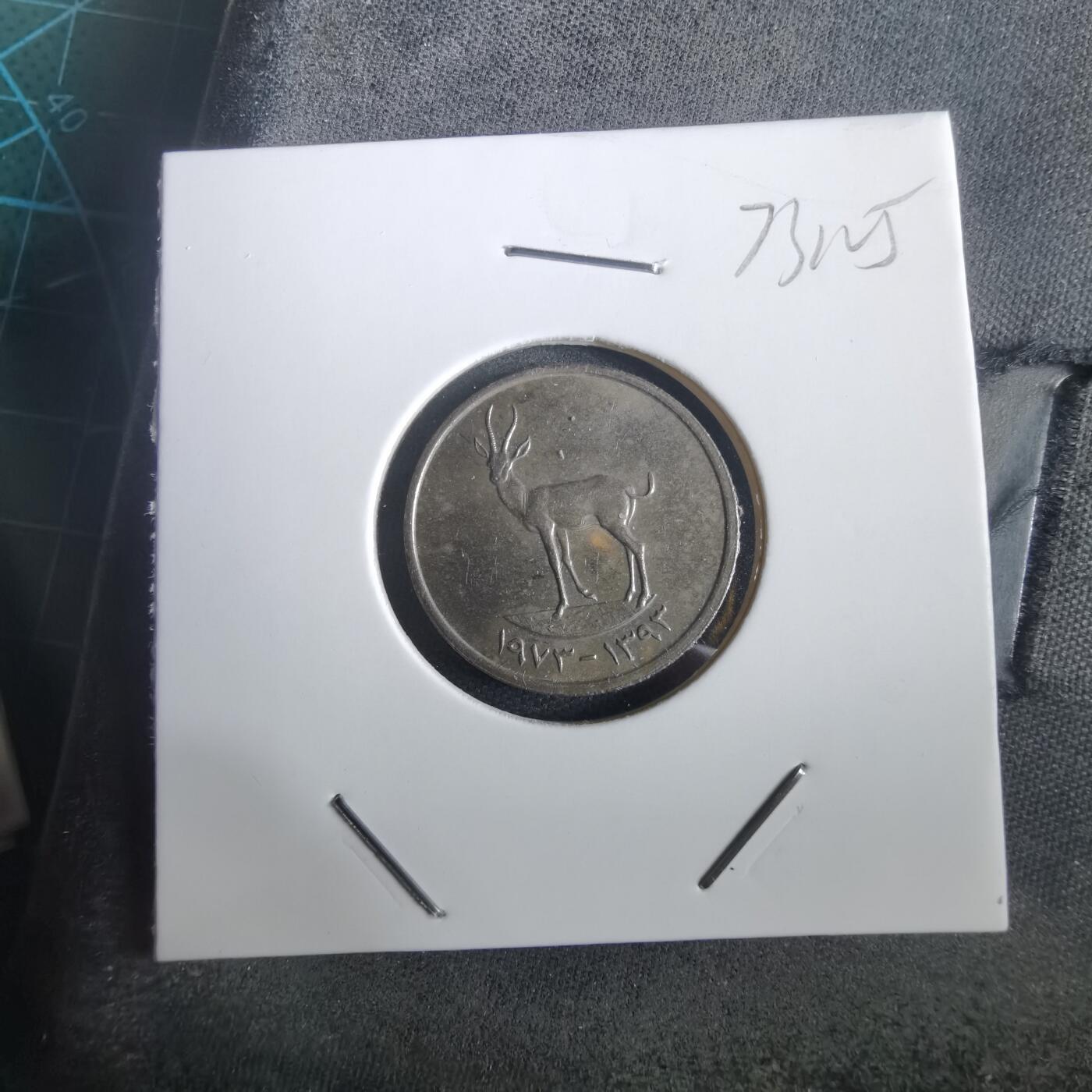 沼泽如烟--第973场