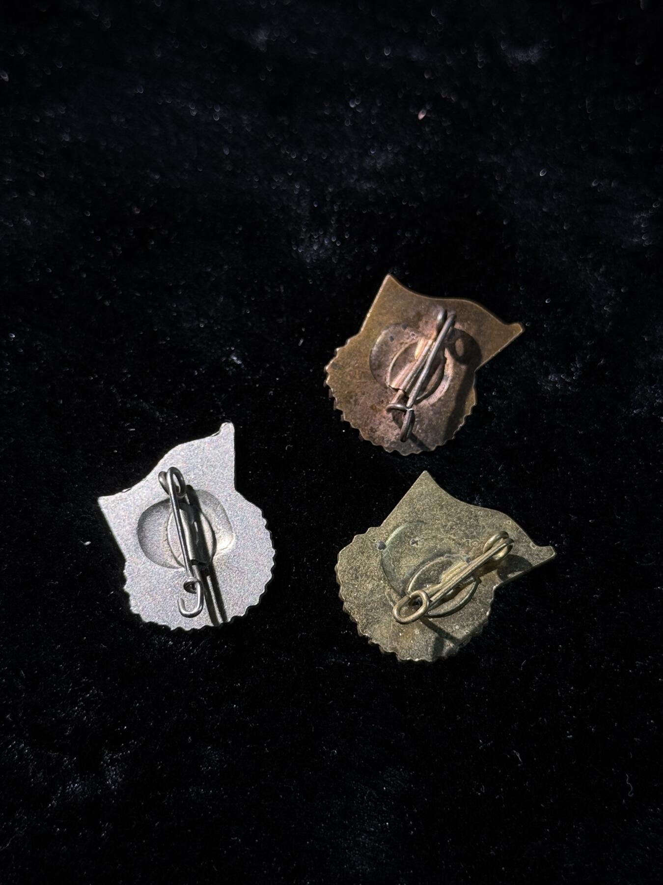 戎马世界章牌大赏第110期 东德小证章一组