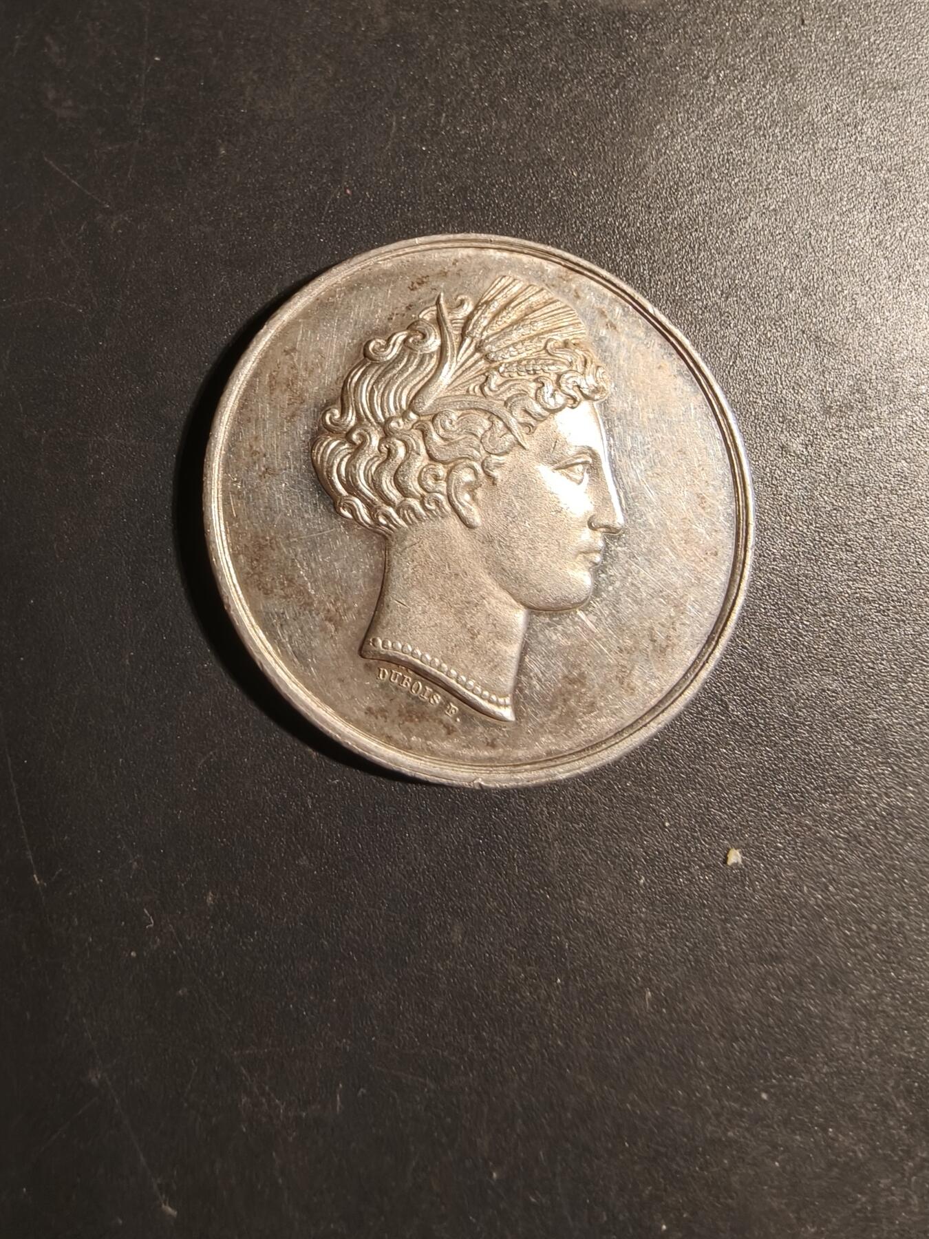 老王徽章第179期 法国奥德省农业协会大银章    950银    直径31mm    重量12.6g