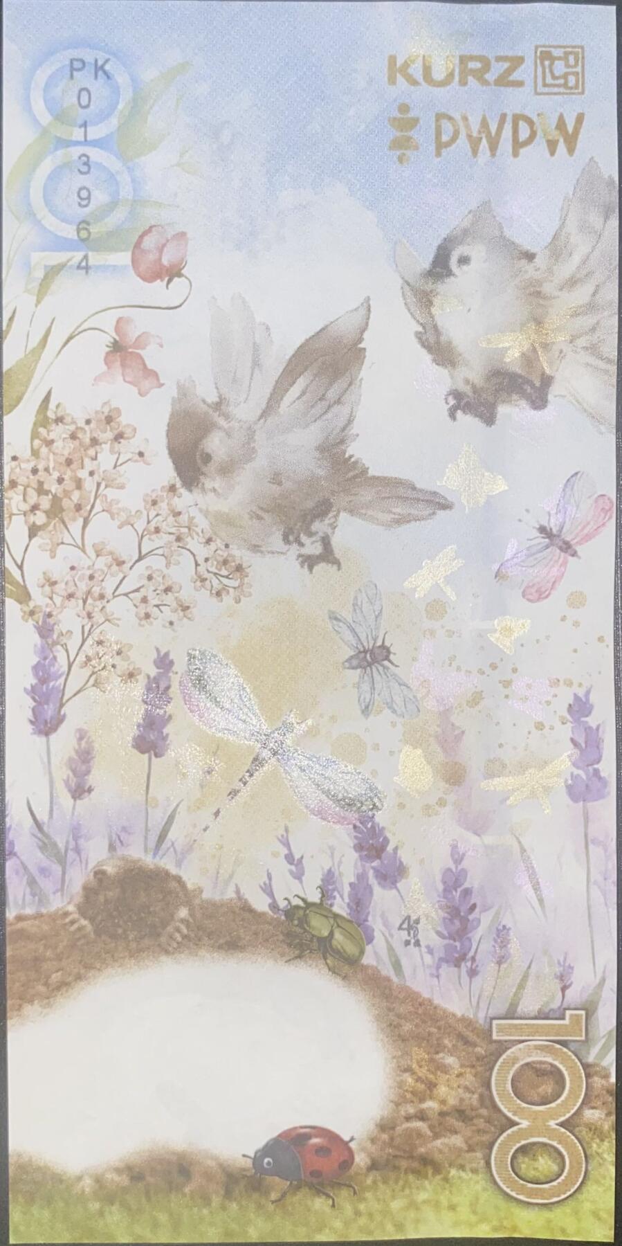 2026第2场（总第229期）：精品测试钞、连体钞综合场