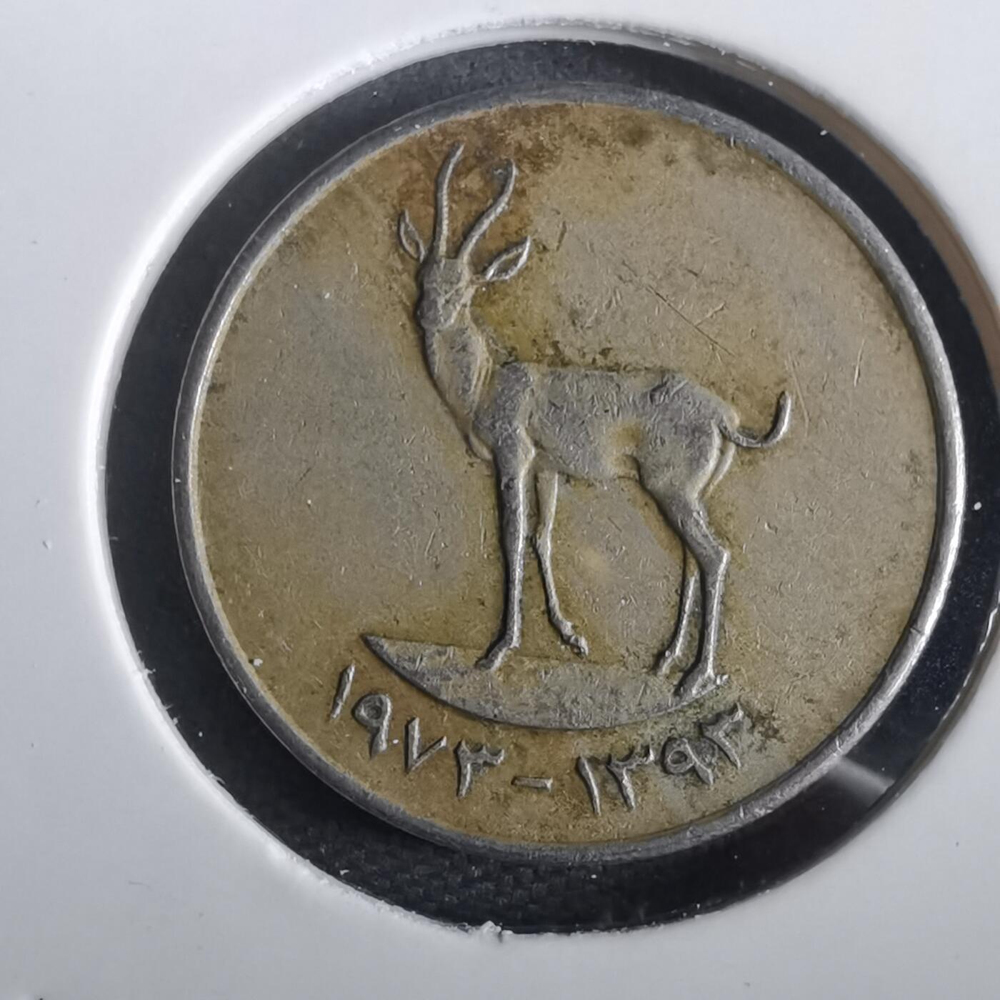 沼泽如烟--第973场 阿联酋