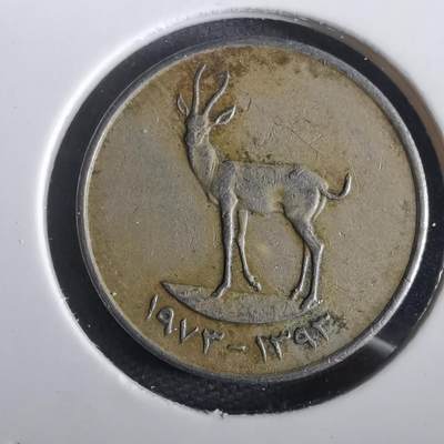 沼泽如烟--第973场 - 阿联酋