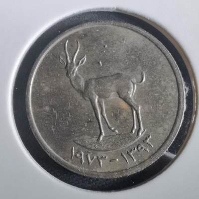 沼泽如烟--第973场 - 阿联酋