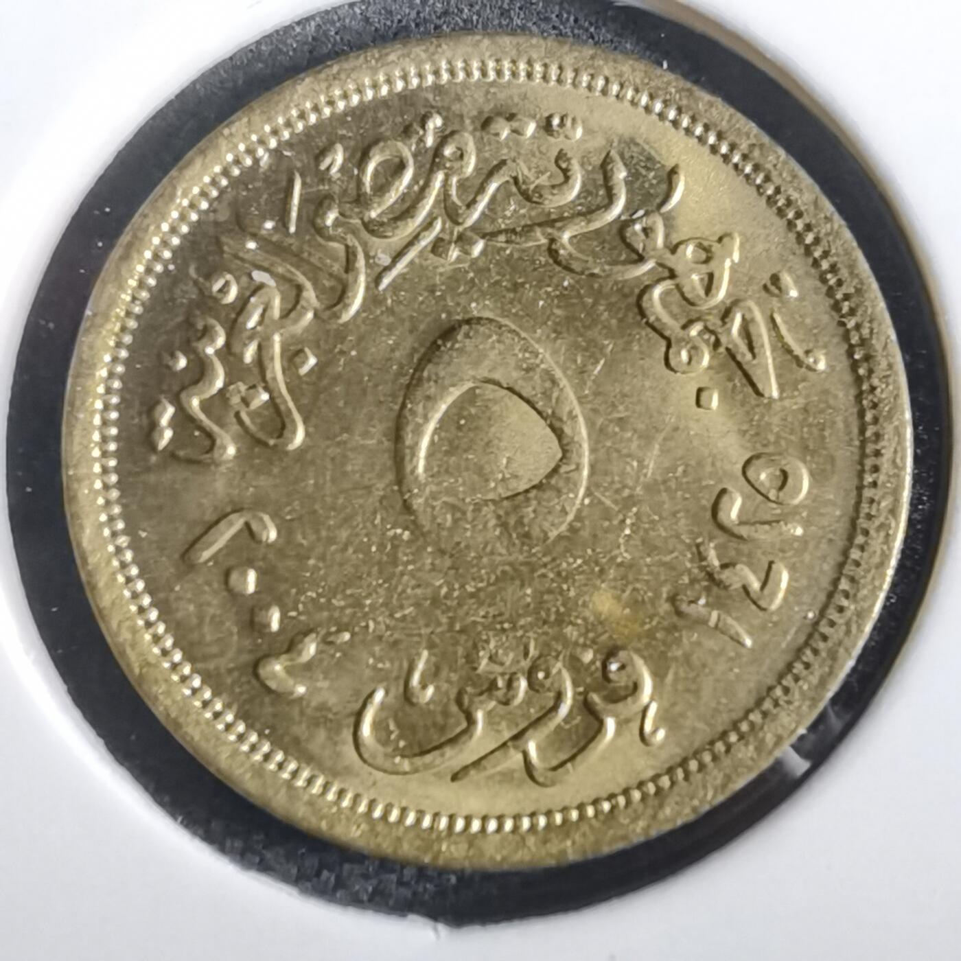 沼泽如烟--第973场 埃及