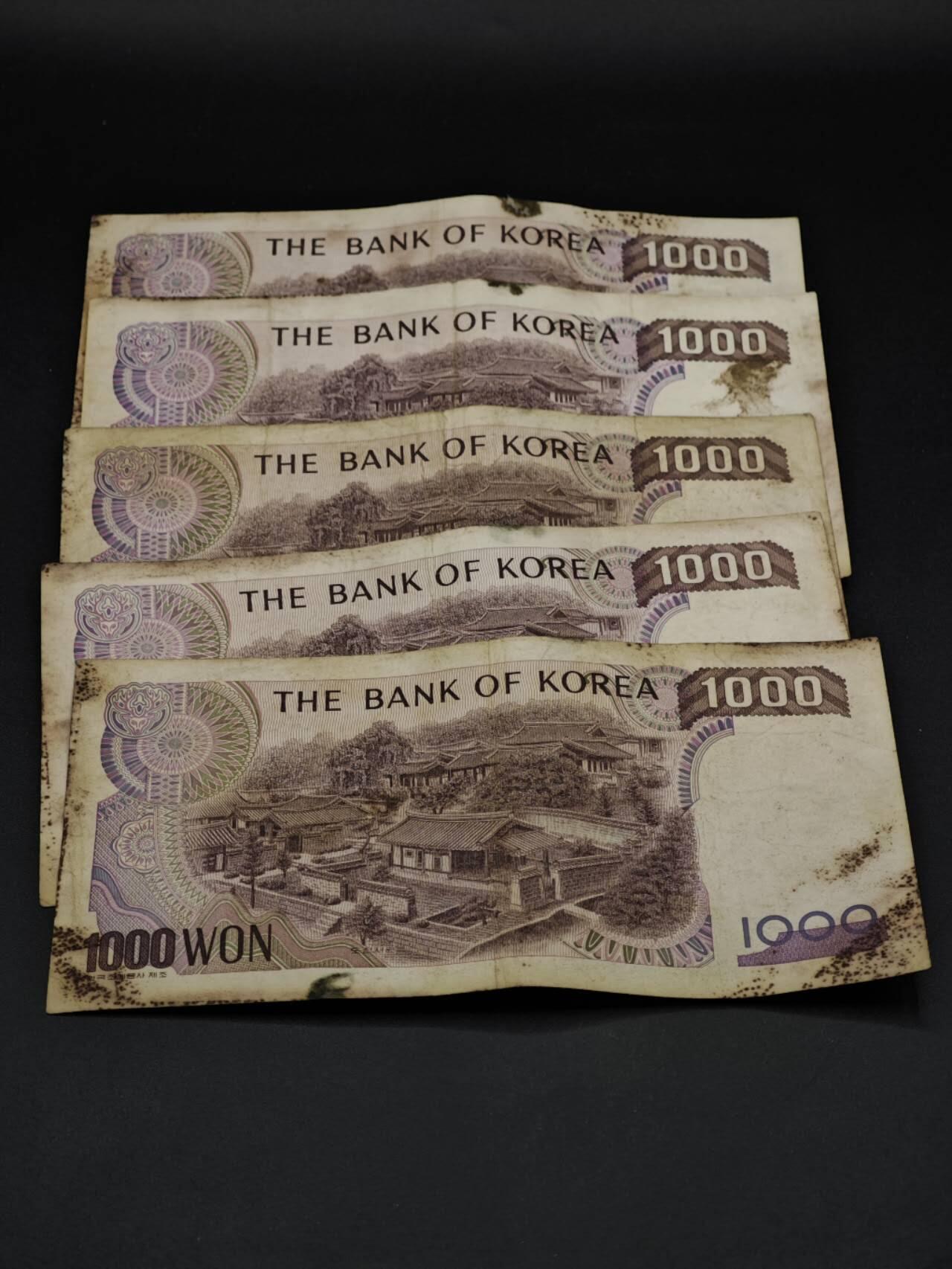 【淘币小摊】实时拍第八百五十四拍   无佣金福利纸币场   满百包邮可预留二周 每周一统一发货   韩国1000元纸币5张【有折】