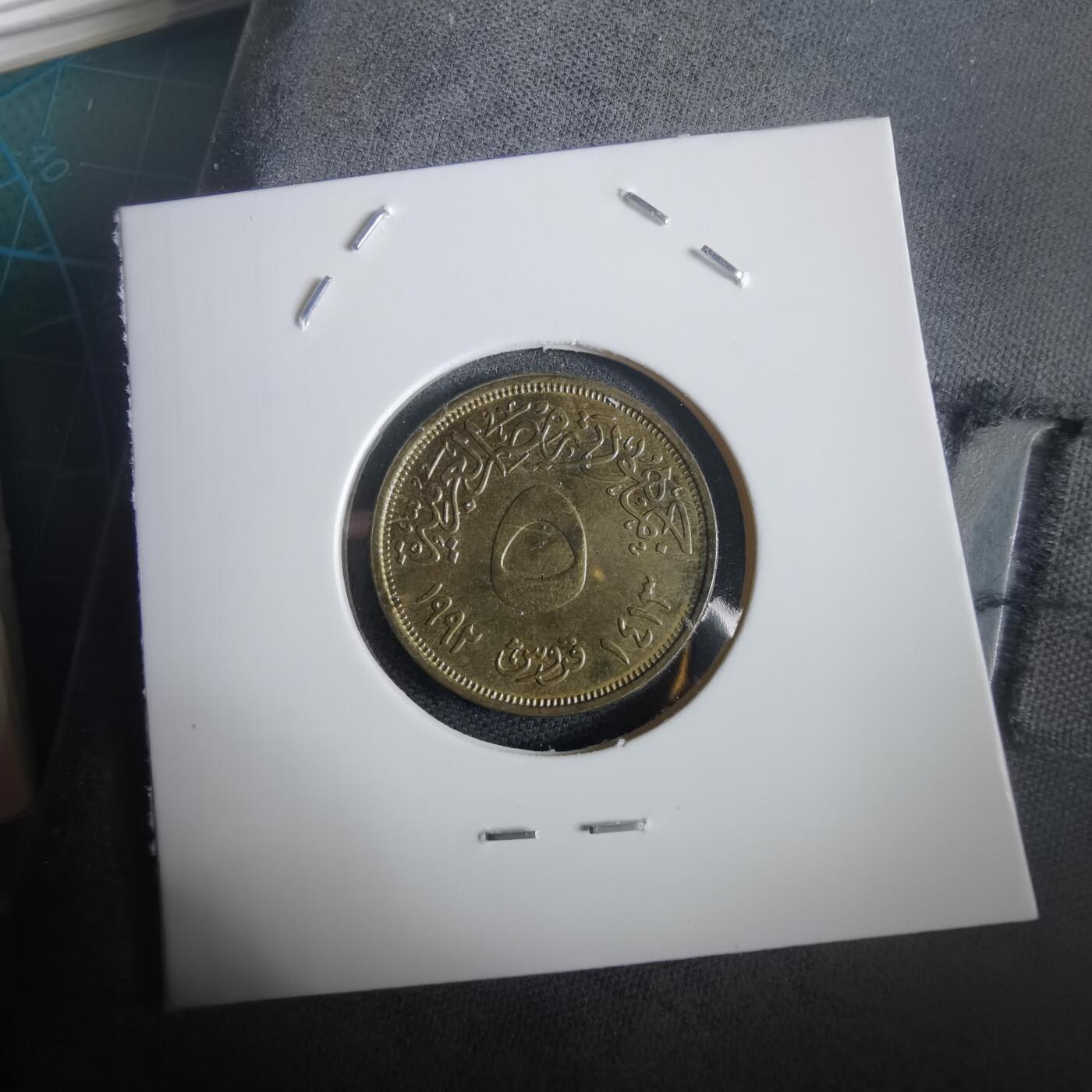 沼泽如烟--第973场