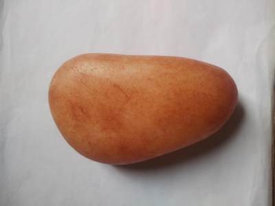 综合 - 和田玉原石 900克左右。