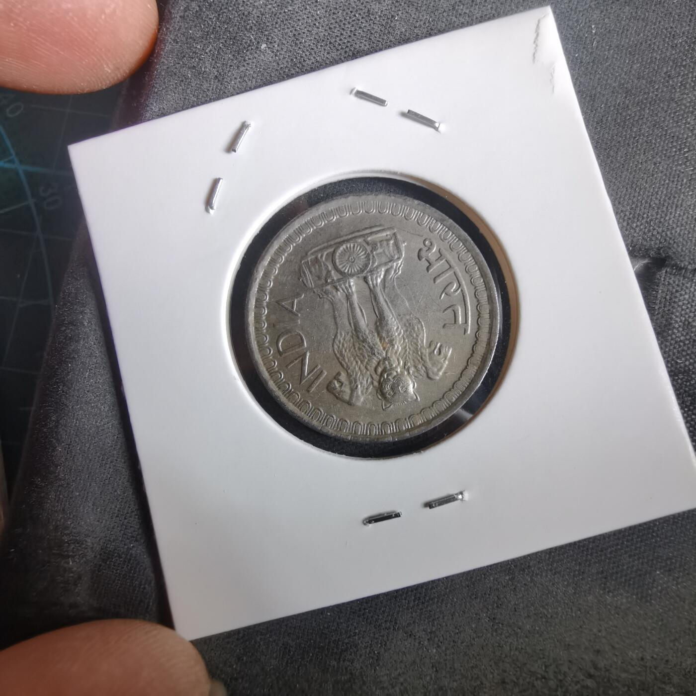 沼泽如烟--第973场