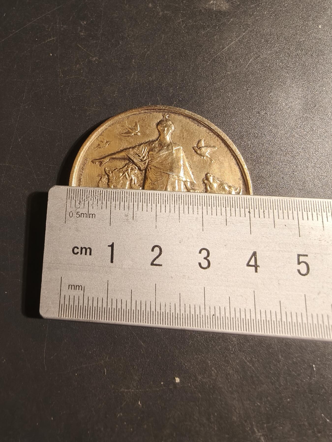 老王徽章第179期 法国巴黎动物保护协会镀金大银章    950银镀金    1899年实授    直径41mm    重量31.9g