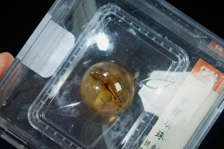 上海都达杂项专场八（全场包邮）   官帽顶珠88-19