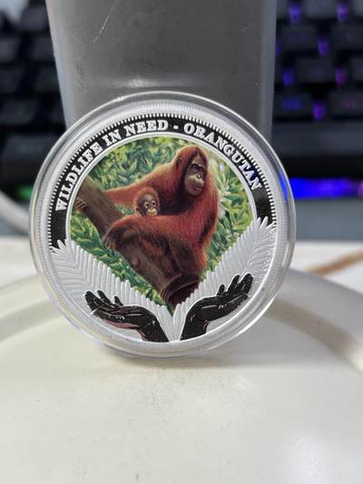 第189期拍卖 - 图瓦卢2011年野生动物保护2大猩猩1盎司彩色银币，999银，发行5000枚，有白斑