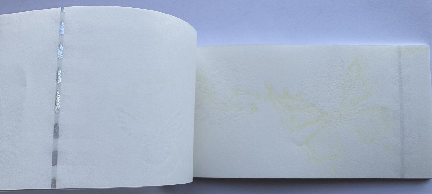 2026第2场（总第229期）：精品测试钞、连体钞综合场 中国防伪水印（样品册）内含25页不同版本水印纸UNC