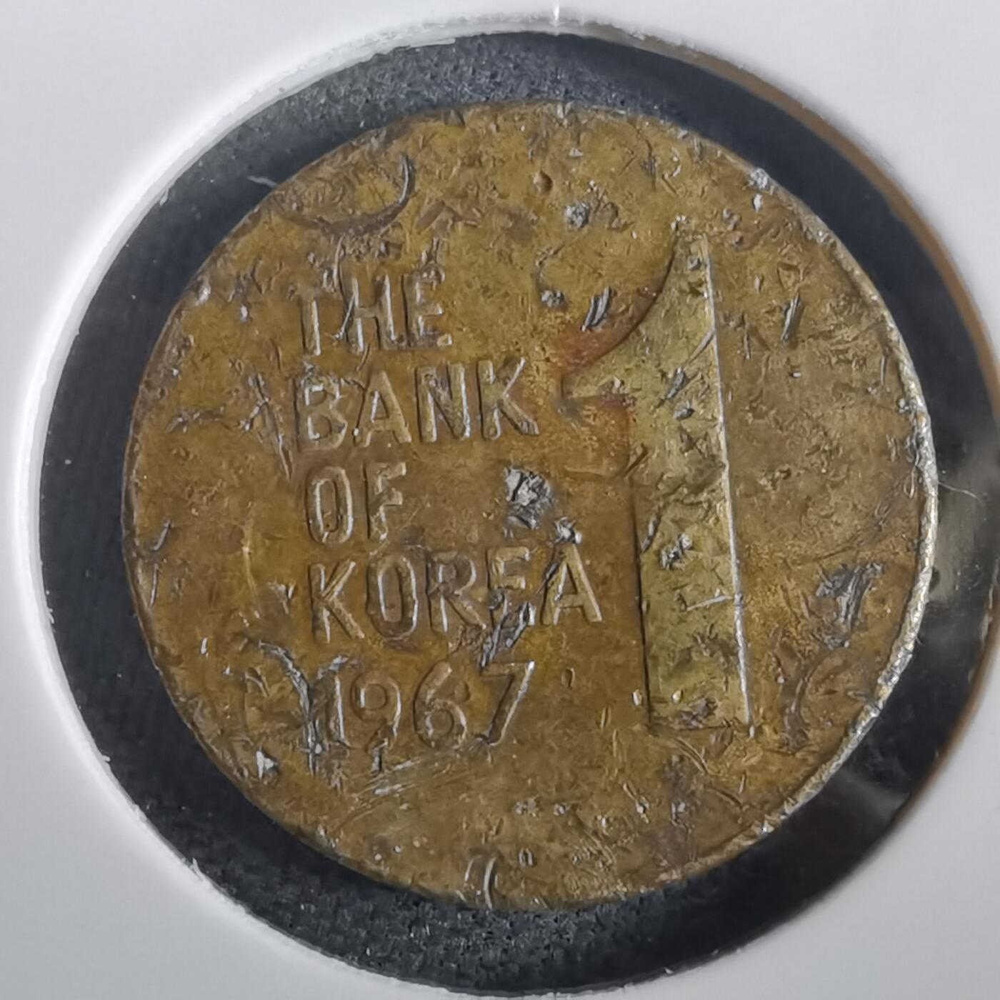 沼泽如烟--第973场