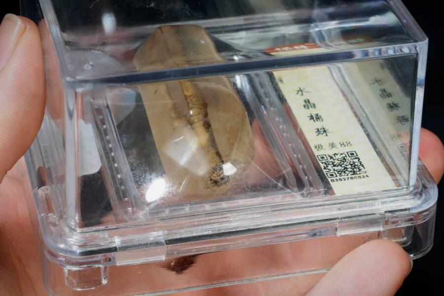 上海都达杂项专场八（全场包邮）   水晶桶珠88-20