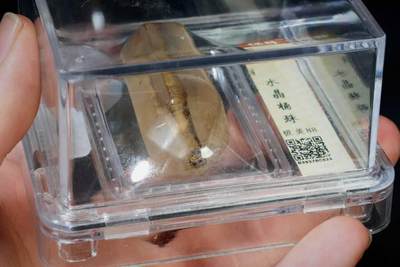 上海都达杂项专场八（全场包邮）   水晶桶珠88-20