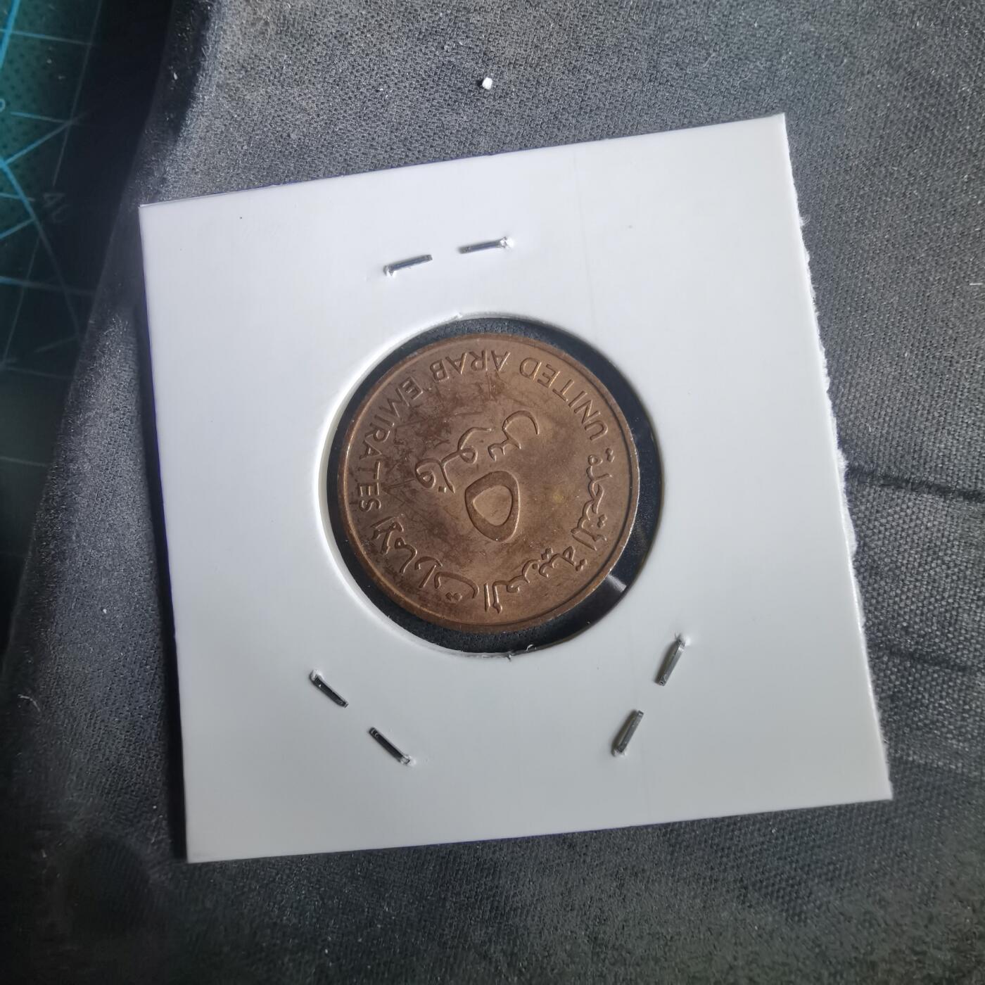 沼泽如烟--第973场