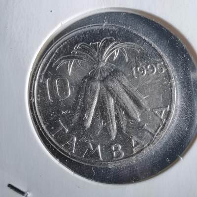 沼泽如烟--第972场 - 马拉维1995年10坦巴拉