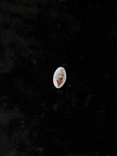 戎马世界章牌大赏第110期 - 铭记历史！珍爱和平！德国二战洗头佬青年团hj徽章  陶瓷的，手感不错