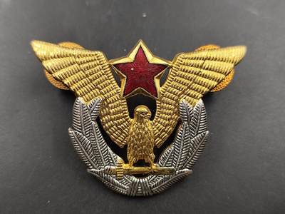 1月22日徽章钱币专场（明天更新，今天累了） - 南斯拉夫空军帽徽