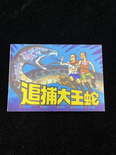 追捕大王 - 追捕大王