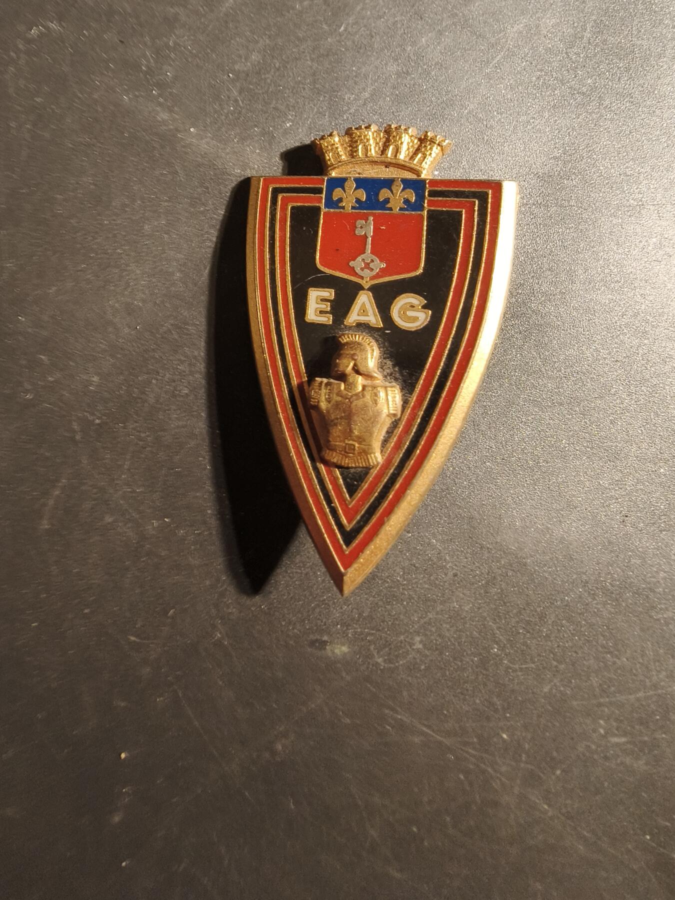 老王徽章第179期 法国外籍军团圭亚那工兵学校证章