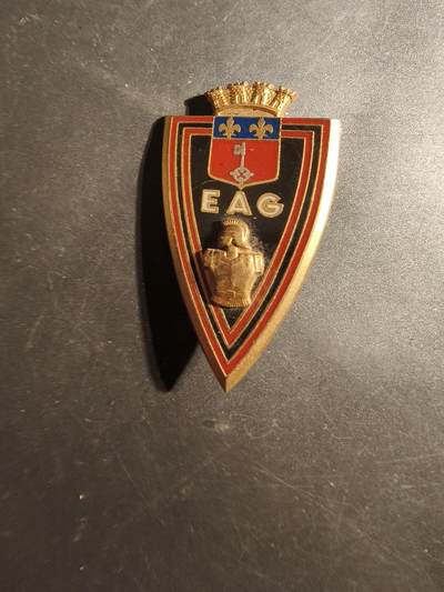 老王徽章第179期 - 法国外籍军团圭亚那工兵学校证章