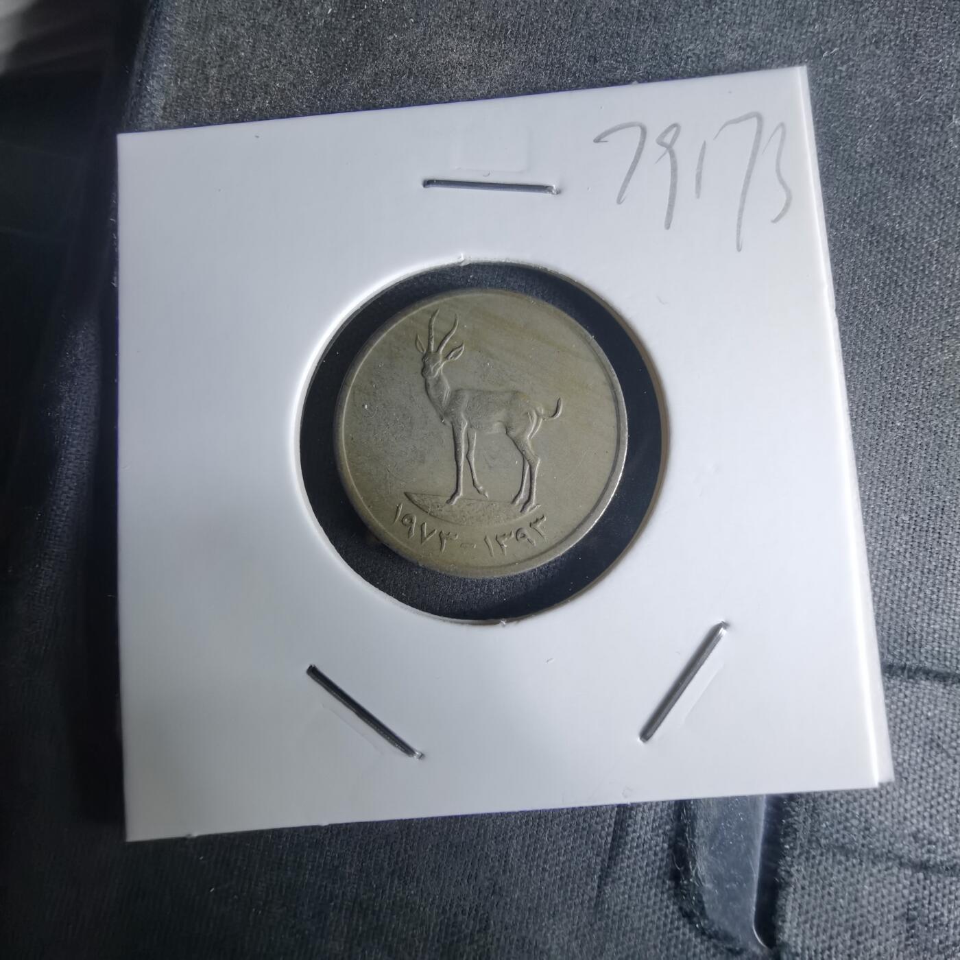 沼泽如烟--第975场 阿联酋